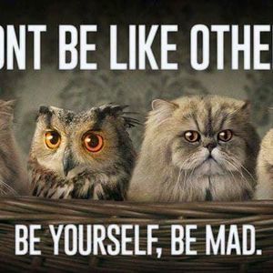 Meet your Posher, Pamela